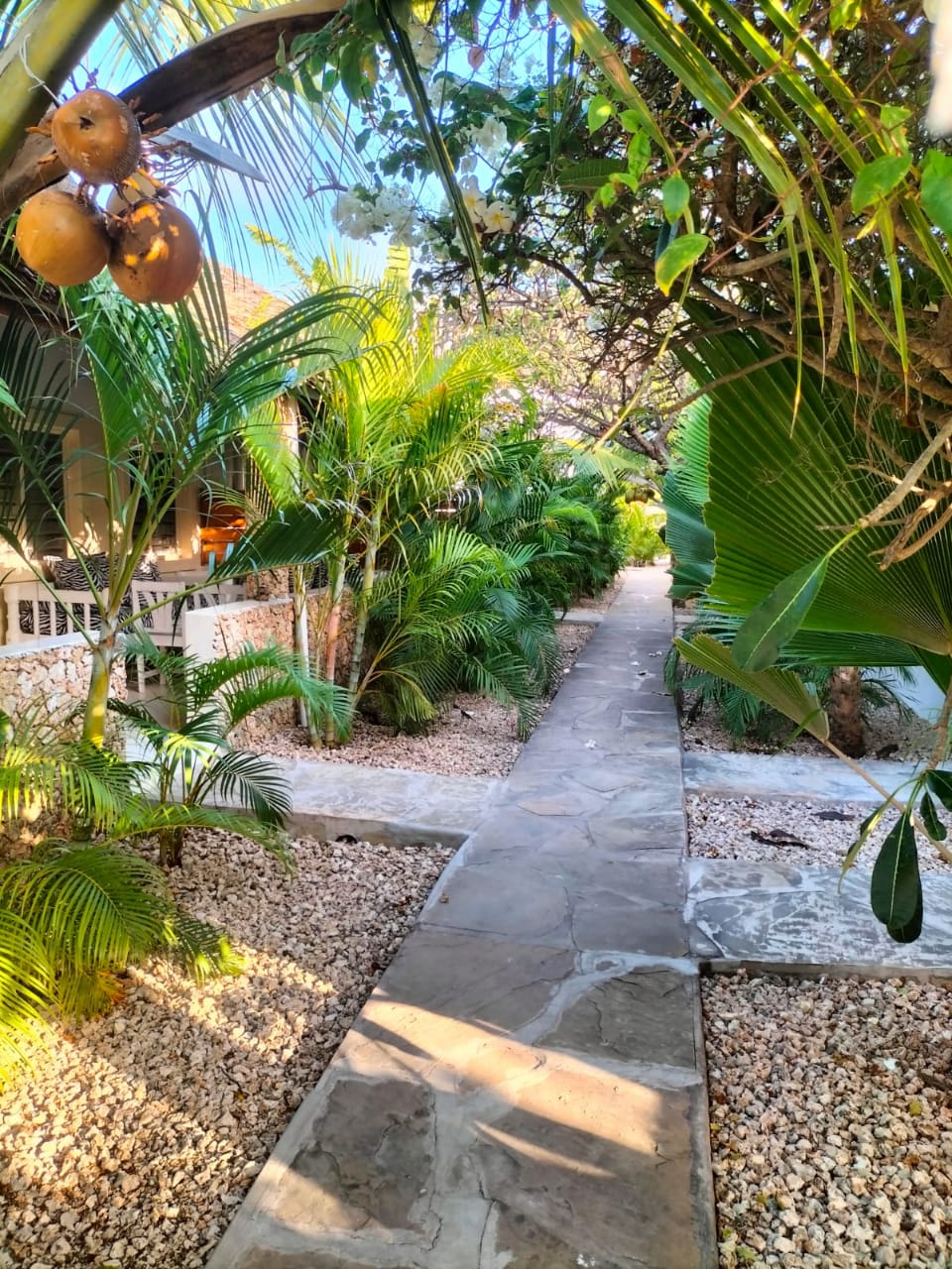 Arica Palm Hotel Gallery Image